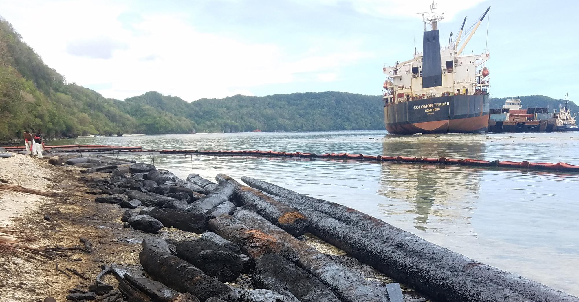 Oily logs beached before being cleaned and milled
